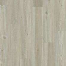 Shaw Floors Resilient Residential Adams Lake Plus Washed Oak 00509_D103H