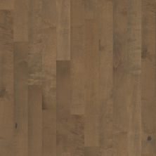 Shaw Floors Naples Oceanside 00529_DC248