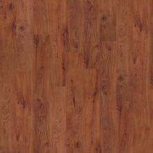Shaw Floors Shaw Design Center Inglefield Plank 12 Burlington 00650_DC914