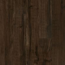 Shaw Floors Dr Horton Cosmo Plank Parma 00734_DR001