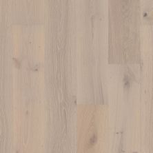 Shaw Floors Dr Horton Ellijay Oak Knight 01075_DR647