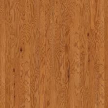 Shaw Floors Dr Horton Ann Arbor 3.25 Caramel 00223_DR667