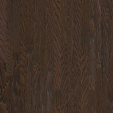 Shaw Floors Dr Horton Ann Arbor 3.25 Chocolate 07011_DR667