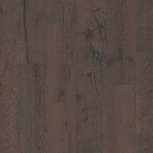 Shaw Floors Dr Horton Barclay White Oak Terrain 07029_DR708