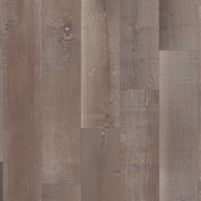 Shaw Floors Dr Horton Barclay Maple Celestial 05047_DR710