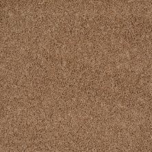 Shaw Floors Lonestar Buckwheat 00107_E0113