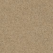 Shaw Floors Lonestar Oatmeal 00125_E0113