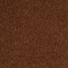 Shaw Floors Lonestar Bronzetone 00706_E0113
