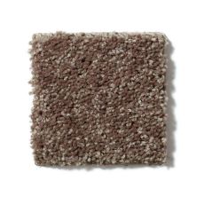 Shaw Floors All Star Weekend III 12′ Cattail E0145_00702