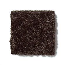 Shaw Floors All Star Weekend III 12′ Coffee Bean E0145_00705