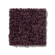 Shaw Floors All Star Weekend III 12′ Royal Purple E0145_00902