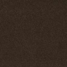 Shaw Floors Magic At Last I 12′ Dark Chocolate 00708_E0200