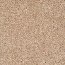 Shaw Floors Vermont (s)12′ Quiet Splendor 00121_E0263