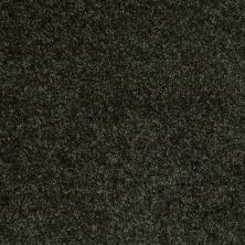 Shaw Floors Vermont (s)12′ Jaden 00302_E0263