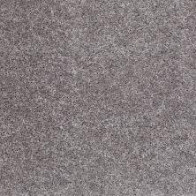 Shaw Floors Vermont (s)12′ Sterling 00500_E0263