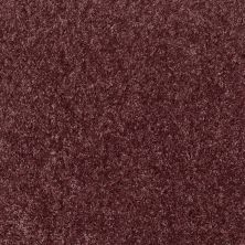 Shaw Floors Vermont (s)12′ Amethyst Sky 00900_E0263