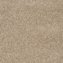 Shaw Floors Fusion Value 300 Dovetail 00710_E0281