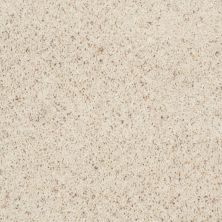 Shaw Floors Fusion Value 400 Bleached Sand 00150_E0282