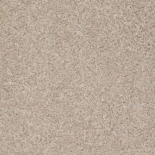 Shaw Floors Value Collections Go For It Net Agate 00102_E0323