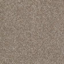 Shaw Floors Value Collections Go For It Net Olivine 00710_E0323