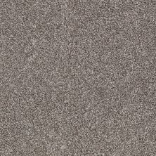 Shaw Floors Value Collections Go For It Net Quartzite 00714_E0323