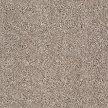 Shaw Floors Value Collections Go For It Net Sandstone 00720_E0323