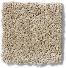 Shaw Floors Entourage Texture Claystone GF00108_E0342