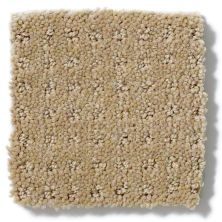 Shaw Floors Enduring Comfort Pattern Cologne Mist E0404_00128