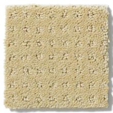 Shaw Floors Enduring Comfort Pattern Solar E0404_00221