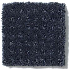 Shaw Floors Enduring Comfort Pattern Patchwork E0404_00401