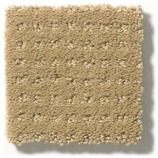 Shaw Floors Enduring Comfort Pattern Honey Pot E0404_00722