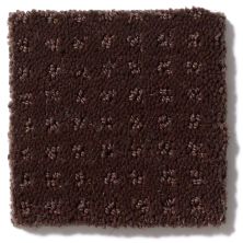 Shaw Floors Enduring Comfort Pattern Apple Butter E0404_00728