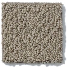 Shaw Floors Timeless Charm Loop Soft Clay*** E0405_18751