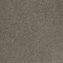 Shaw Floors Origins Pewter 00513_E0523