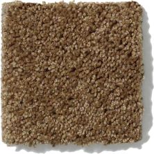 Shaw Floors Optimum Texture Travertine GF00711_E0523