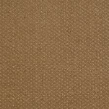Shaw Floors Genesis Leather Bound 00702_E0525