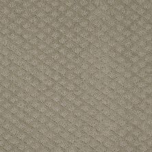 Shaw Floors Pace Setter Gray Flannel 00511_E0527