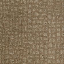 Shaw Floors Instant Impact Prairie 00710_E0530