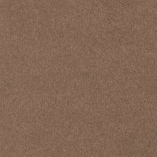 Shaw Floors Sandy Hollow Classic I 12′ Muffin 00700_E0548