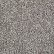 Shaw Floors Expect More (t) Gray Stone 00531_E0570