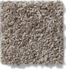 Shaw Floors Go Big Trade Wind E0571_00502