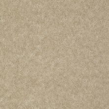 Shaw Floors Sprinter Tinted Taupe 00135_E0577