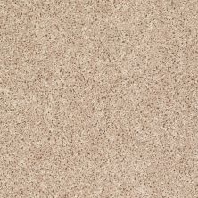 Shaw Floors Value Collections Let's Go (s) Net Surf Side