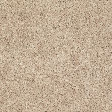 Shaw Floors Value Collections Let's Go (s) Net Natural Sand