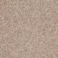 Shaw Floors Value Collections Let's Go (s) Net Cream Escape