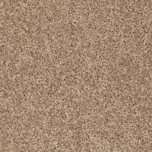 Shaw Floors Value Collections Let's Go (s) Net Northern Plains