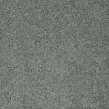 Shaw Floors My Choice III Silver Sage 00350_E0652