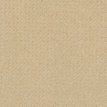 Shaw Floors My Choice Pattern French Linen 00103_E0653