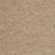 Shaw Floors Value Collections Expect More (s) Net Porcelain 00105_E0710