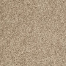 Shaw Floors Value Collections Expect More (s) Net Antique Linen 00106_E0710